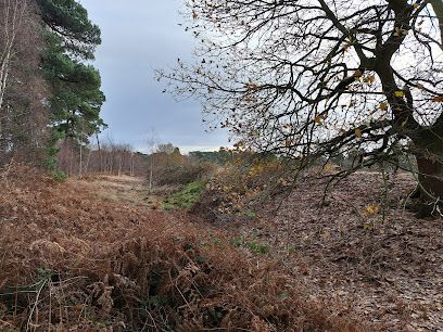 Galley Hill Hillfort