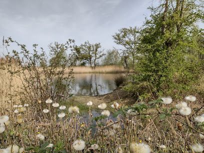 Sandhill Sandpit & Woods