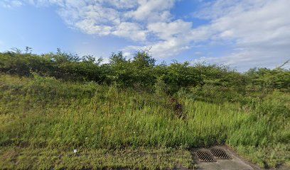 Thrapston Station Quarry